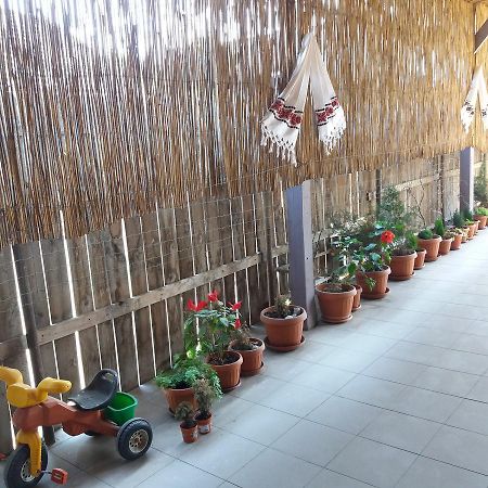 ホテル Casa Rodisa トゥルダ エクステリア 写真
